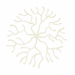 Sage-cell-transparent-braun