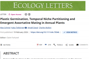 Publications